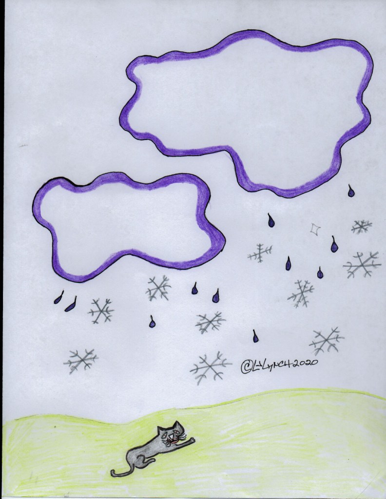 The Christmas Kitty as the snow begins