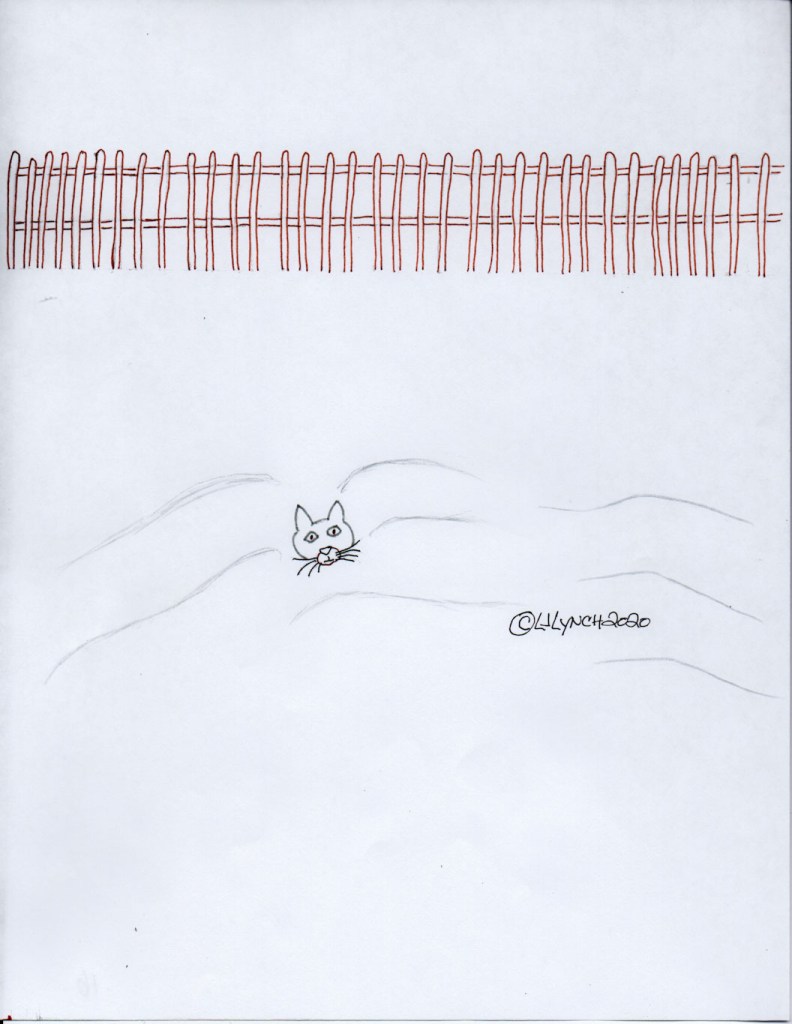 The funnny little gray kitty in the snow