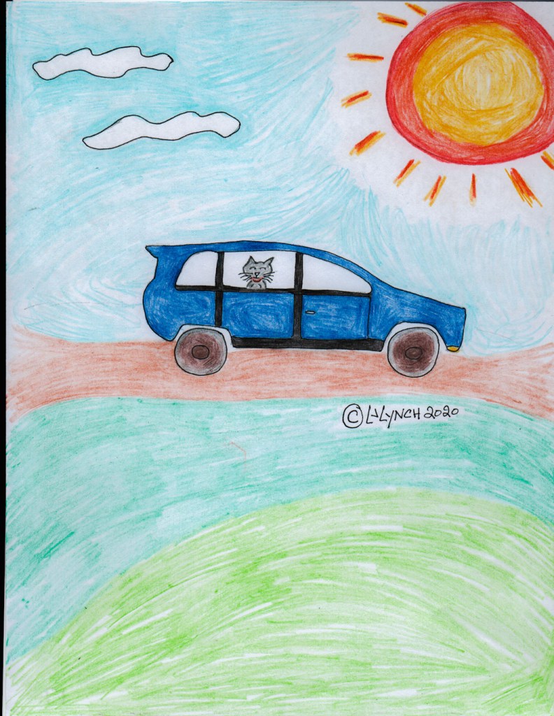 The funny little gray kitty in the car