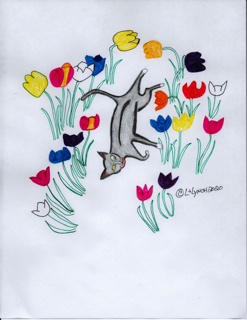 The funny little gray kitty sleeps with a smile