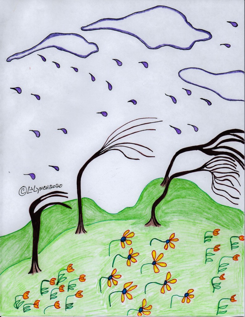 The gray kitty in the cold wind