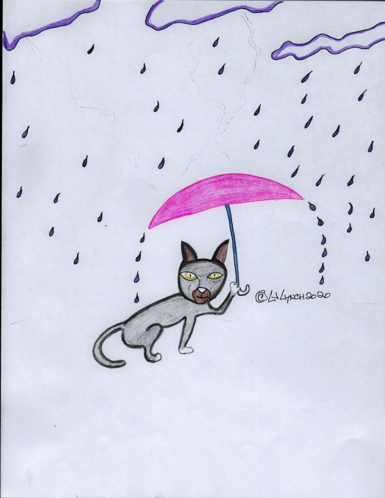 They funny gray kitty does not know where to go