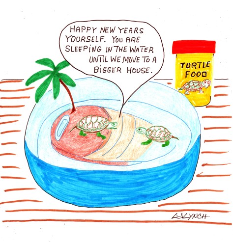 Turtle Bowl snootscartoons LJ Lynch